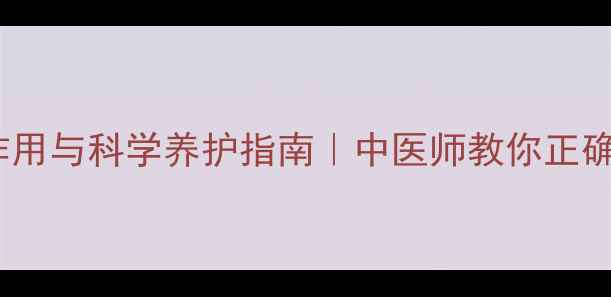 胃力胶囊副作用与科学养护指南中医师教你正确护胃不伤身
