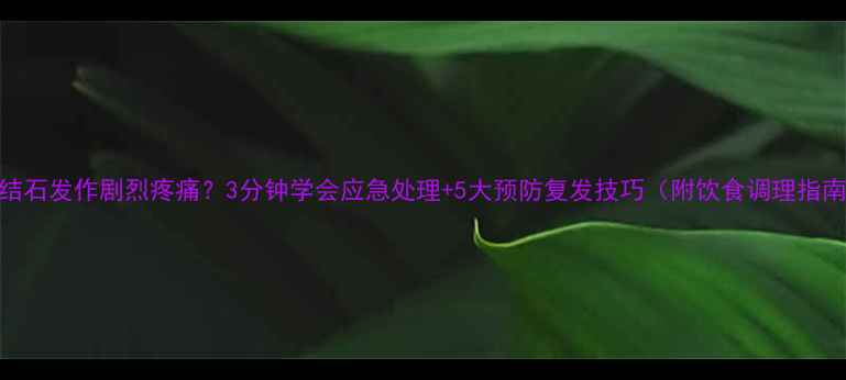 胆结石发作剧烈疼痛3分钟学会应急处理5大预防复发技巧附饮食调理指南