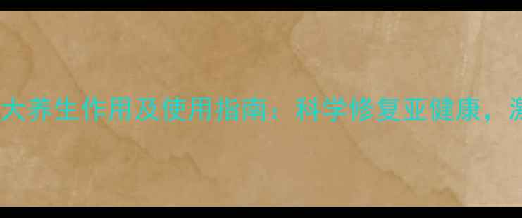 脉冲治疗仪的十大养生作用及使用指南科学修复亚健康激活身体自愈力