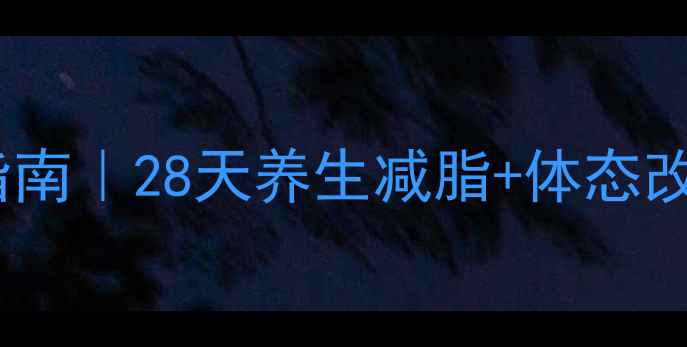 腰腹赘肉消散指南28天养生减脂体态改善全攻略