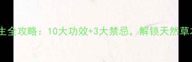 艾草养生全攻略10大功效3大禁忌解锁天然草本力量