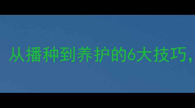 艾草家庭种植全攻略从播种到养护的6大技巧驱蚊防病养生功效全