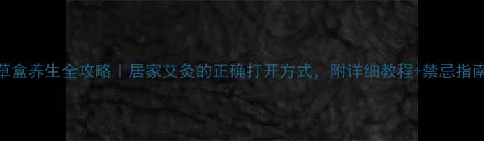 艾草盒养生全攻略居家艾灸的正确打开方式附详细教程禁忌指南