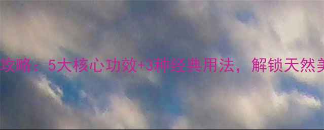 芙蓉菊养生全攻略5大核心功效3种经典用法解锁天然美容养颜秘方