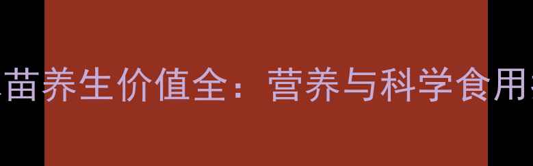 图片 芝麻苗养生价值全：营养与科学食用指南