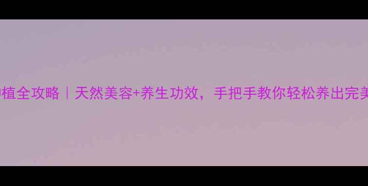 芦荟家庭种植全攻略天然美容养生功效手把手教你轻松养出完美芦荟凝胶