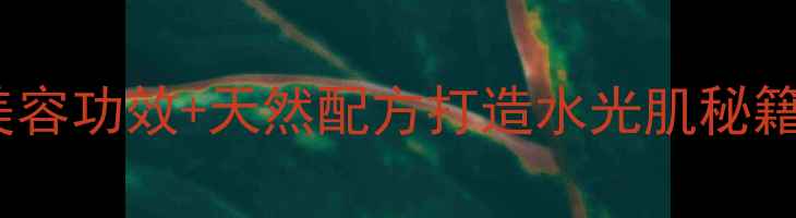 图片 芦荟蜂蜜敷脸的3大美容功效+天然配方打造水光肌秘籍（附正确使用方法）