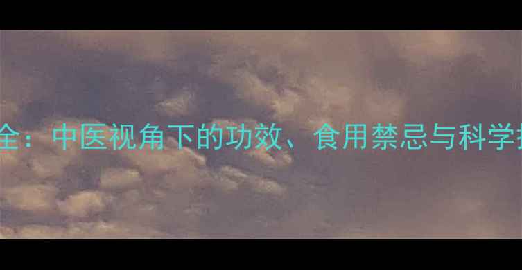 图片 茴香养生全：中医视角下的功效、食用禁忌与科学搭配指南2