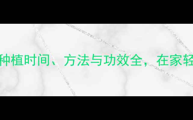 茴香养生指南种植时间方法与功效全在家轻松收获健康食材
