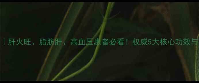 图片 茵胆平肝胶囊｜肝火旺、脂肪肝、高血压患者必看！权威5大核心功效与临床应用指南