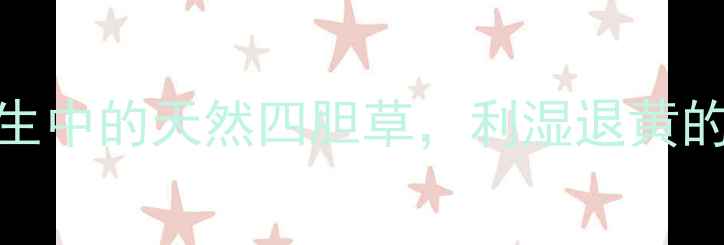 茵陈的权威中医养生中的天然四胆草利湿退黄的科学依据与禁忌指南