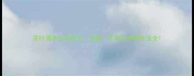 图片 茶叶酒养生功效大：功效、作用及自制方法全1