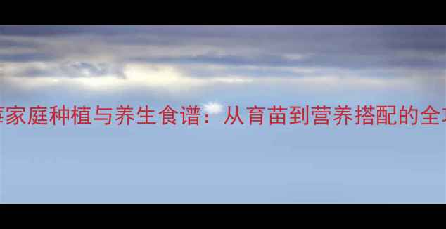 草莓家庭种植与养生食谱从育苗到营养搭配的全攻略