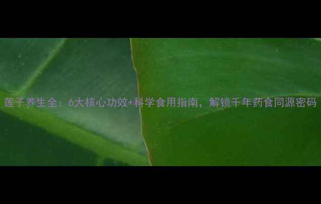 莲子养生全6大核心功效科学食用指南解锁千年药食同源密码