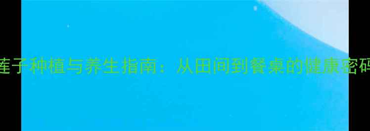 图片 莲子种植与养生指南：从田间到餐桌的健康密码