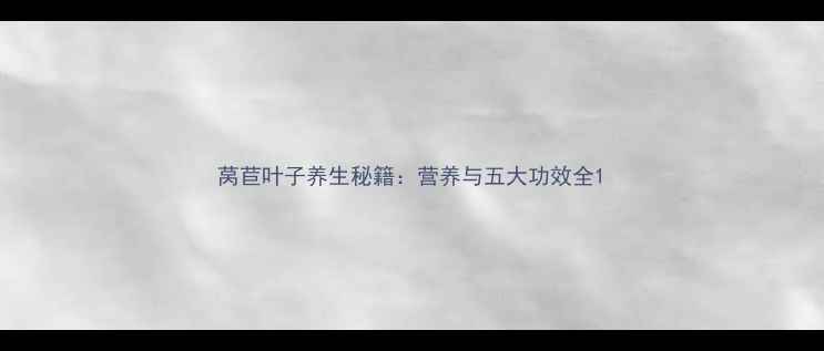 莴苣叶子养生秘籍营养与五大功效全