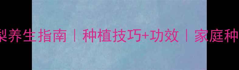 莺歌凤梨养生指南种植技巧功效家庭种植必备