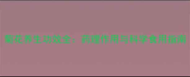 菊花养生功效全药理作用与科学食用指南