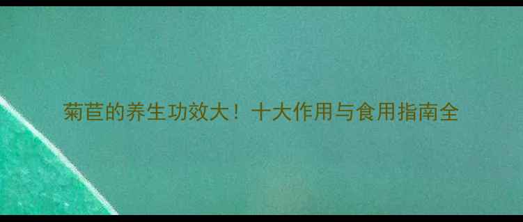 图片 菊苣的养生功效大！十大作用与食用指南全