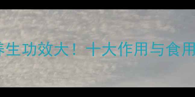 菊苣的养生功效大十大作用与食用指南全