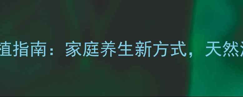 菠萝蜜盆栽种植指南家庭养生新方式天然润肺润燥功效