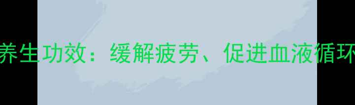 菩提子坐垫的养生功效缓解疲劳促进血液循环提升专注力