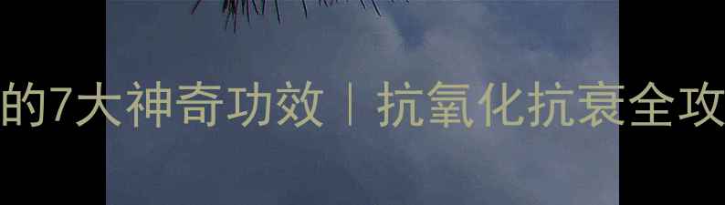 葡萄籽的7大神奇功效抗氧化抗衰全攻略