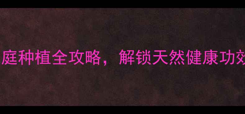 葫芦养生家庭种植全攻略解锁天然健康功效与实用技巧
