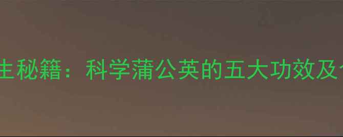 蒲公英养生秘籍科学蒲公英的五大功效及食用指南