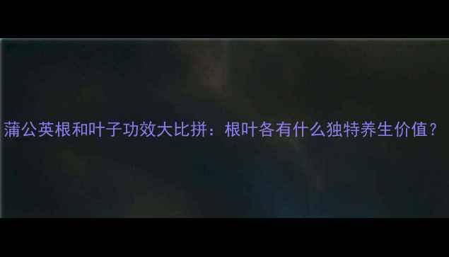 蒲公英根和叶子功效大比拼根叶各有什么独特养生价值