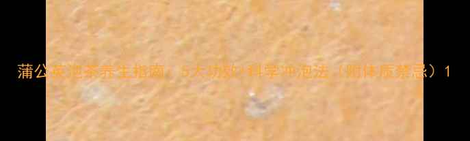 图片 蒲公英泡茶养生指南：5大功效+科学冲泡法（附体质禁忌）1