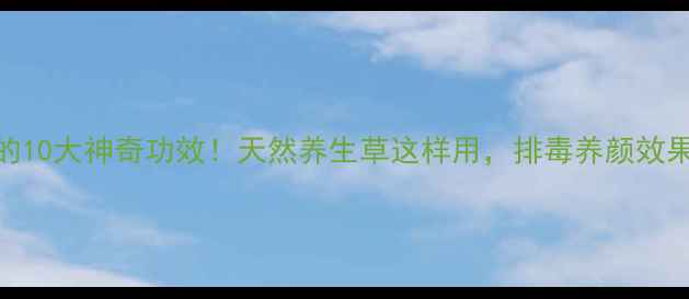 图片 蒲公英的10大神奇功效！天然养生草这样用，排毒养颜效果翻倍🌿