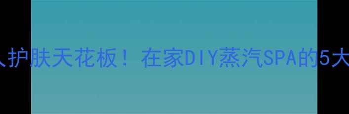 蒸气美容器艾草养生懒人护肤天花板在家DIY蒸汽SPA的5大黄金法则附避坑指南