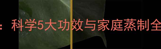 图片 蒸香蕉养生秘籍：科学5大功效与家庭蒸制全攻略（附食谱）