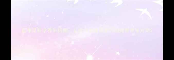 蓝净灵科学养生指南从成分到使用技巧的完整养生方案