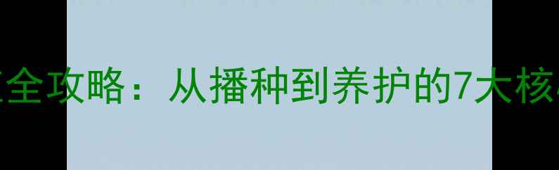 图片 蓝费利菊家庭盆栽养殖全攻略：从播种到养护的7大核心技巧（附养生功效）