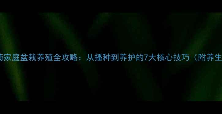 图片 蓝费利菊家庭盆栽养殖全攻略：从播种到养护的7大核心技巧（附养生功效）1