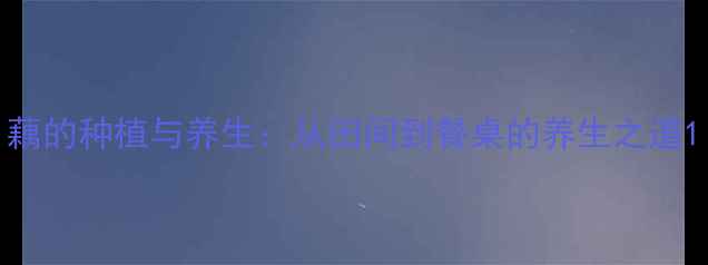 图片 藕的种植与养生：从田间到餐桌的养生之道1