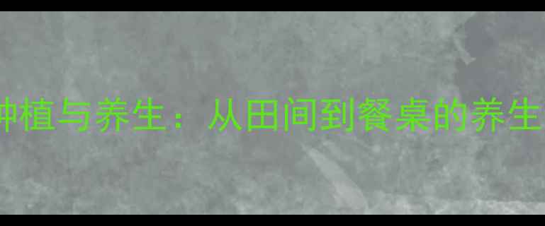 藕的种植与养生从田间到餐桌的养生之道