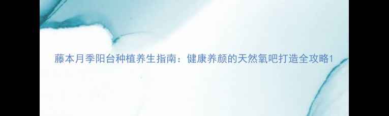 藤本月季阳台种植养生指南健康养颜的天然氧吧打造全攻略