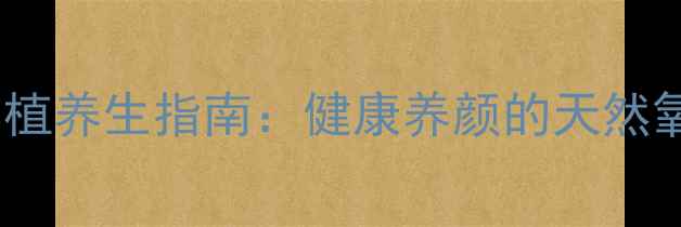 图片 藤本月季阳台种植养生指南：健康养颜的天然氧吧打造全攻略2