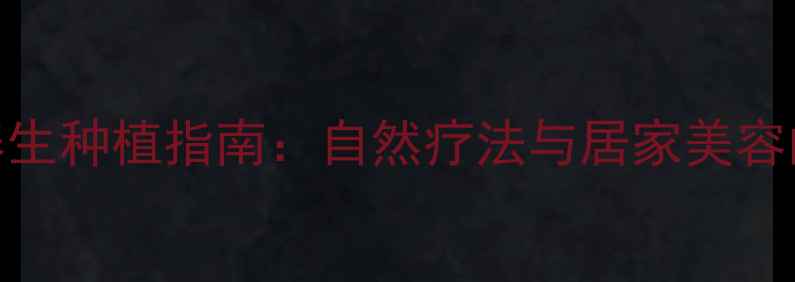 藤本蔷薇养生种植指南自然疗法与居家美容的完美结合