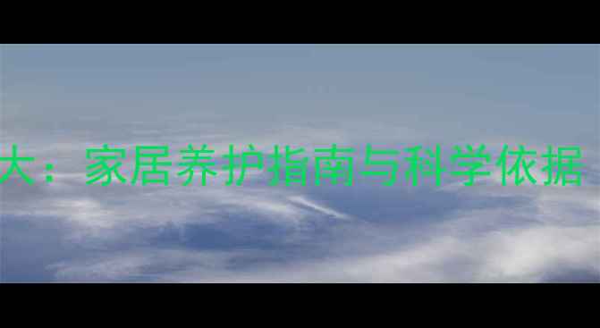 虎皮兰养生功效大家居养护指南与科学依据附使用技巧