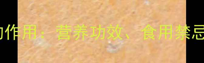 蚝油在养生中的作用营养功效食用禁忌与搭配建议全