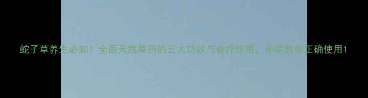 图片 蛇子草养生必知！全面天然草药的五大功效与食疗作用，中医教你正确使用1