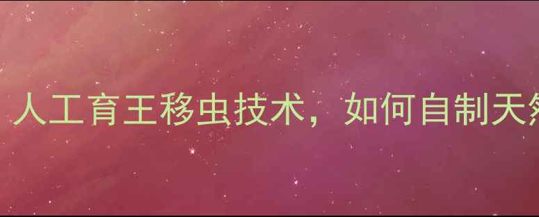蜂蜜爱好者必看人工育王移虫技术如何自制天然蜂王浆养生法