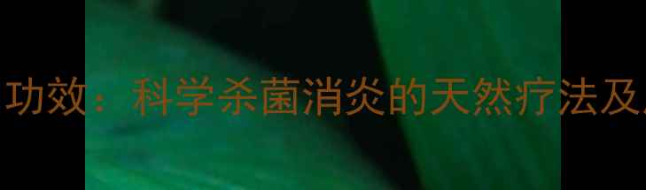 蜂蜜的8大养生功效科学杀菌消炎的天然疗法及居家应用指南