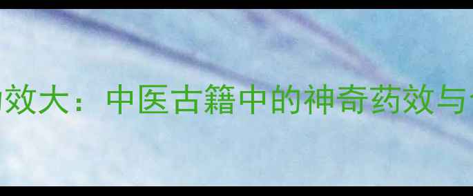 蜻蜓养生功效大中医古籍中的神奇药效与食疗秘方全