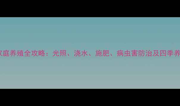 蝴蝶兰家庭养殖全攻略光照浇水施肥病虫害防治及四季养护技巧