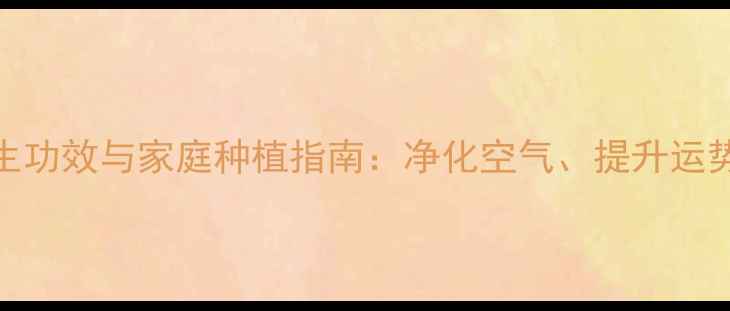 图片 蝴蝶兰的养生功效与家庭种植指南：净化空气、提升运势的天然绿植